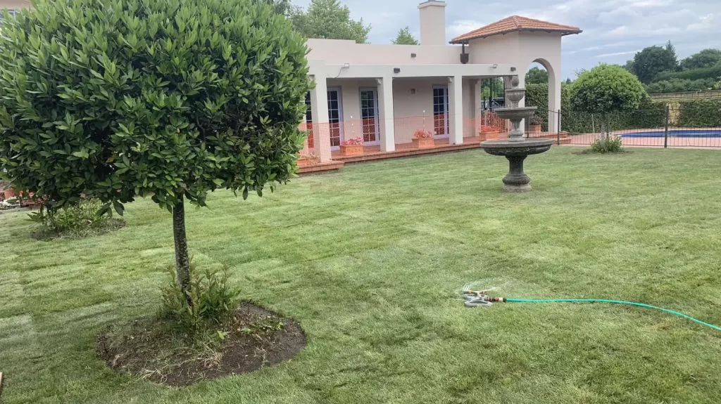 landscaping for yards