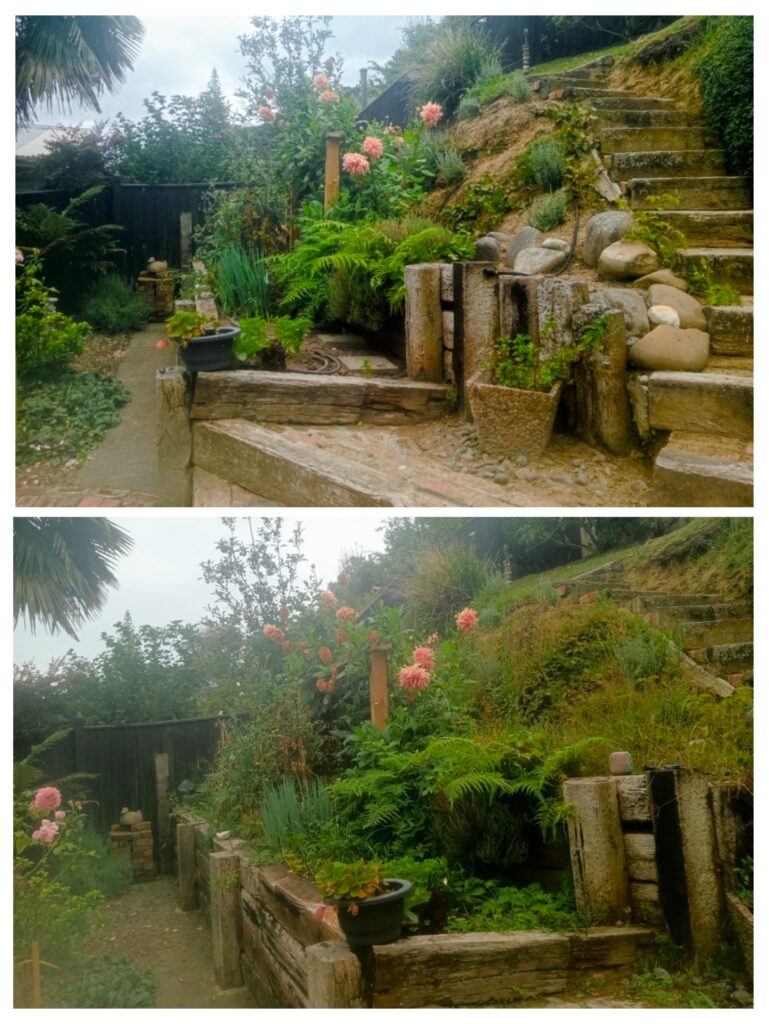 terraced landscape garden
