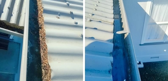 Gutter Cleaning
